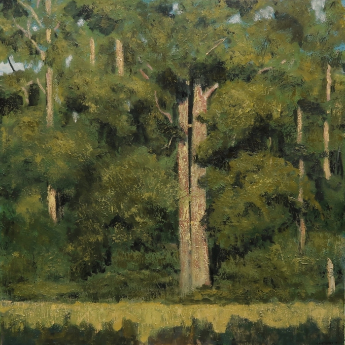 Oil on canvas painting of a forest of trees at the edge of a sunny spot of meadow by Albert Hadjiganev titled Clairière.