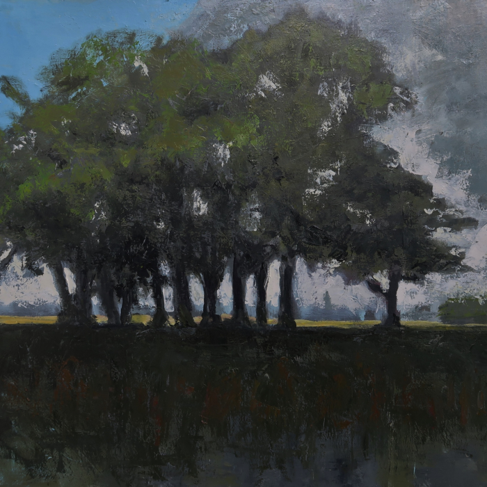 Oil on canvas painting of a stand of trees with the dark earth beneath and the blue sky behind by Albert Hadjiganev titled Groupe d&#039;Arbres dans la Plaine.