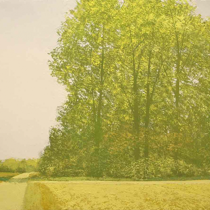 Oil on canvas painting of a country road through a meadow and trees, awash in chartreuse, by Benoît Trimborn titled "Paysage dans le Jaune"